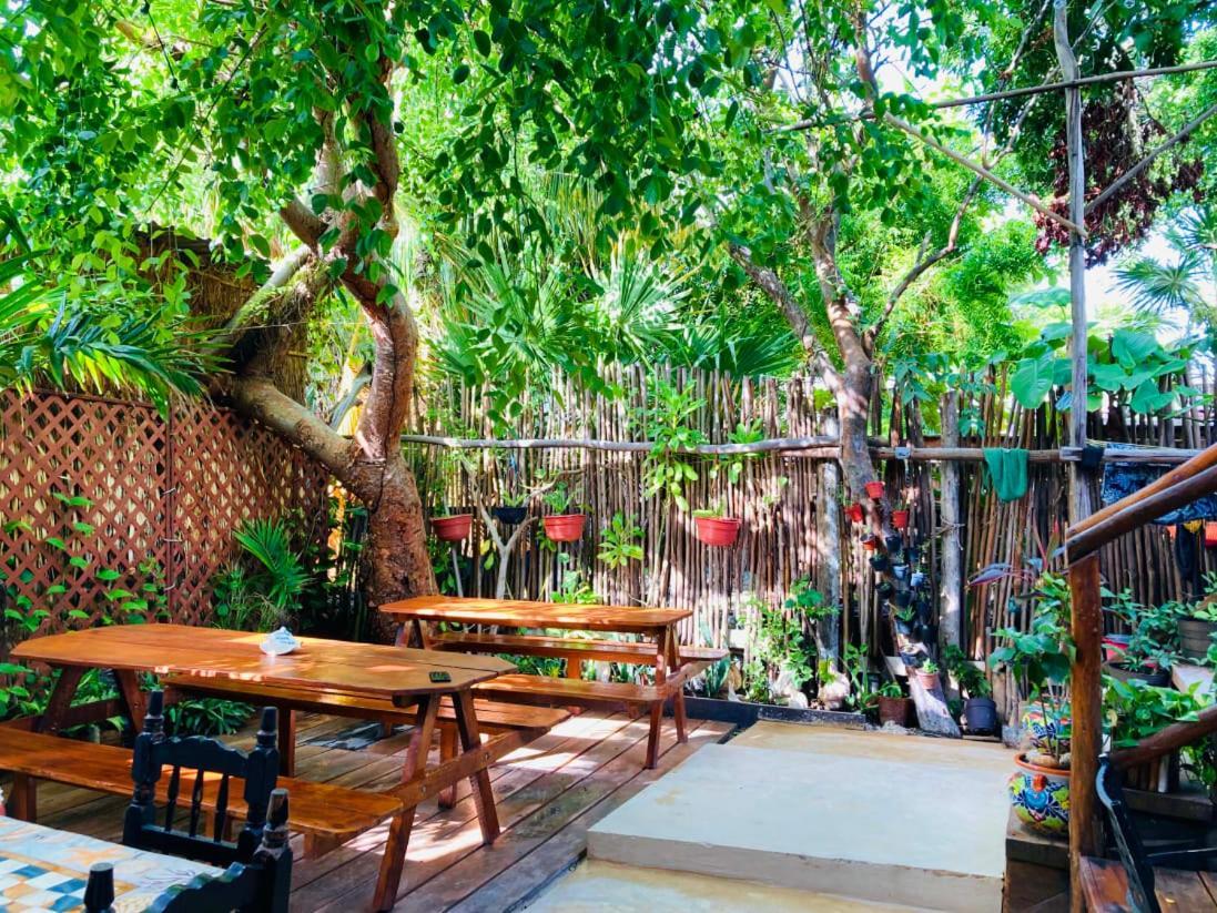 Hostal Holbox Ngoại thất bức ảnh