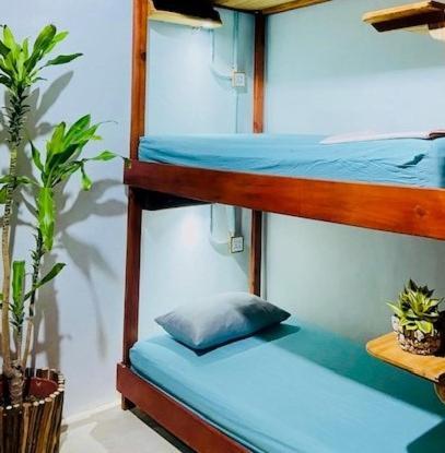Hostal Holbox Ngoại thất bức ảnh